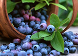 紫色水果有哪些 常吃紫色水果竟能排毒瘦身